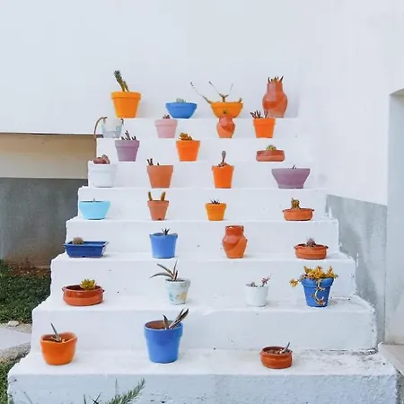 Puglia Garden 호텔 비에스테