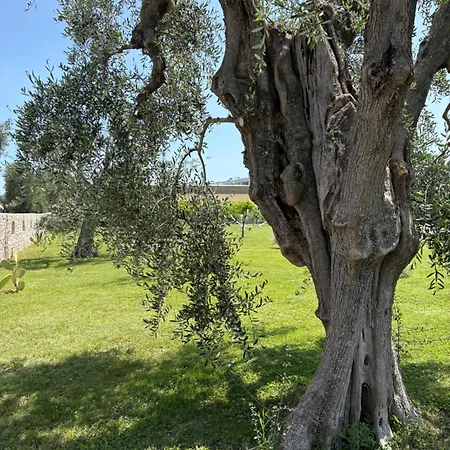 호텔 Puglia Garden 4*